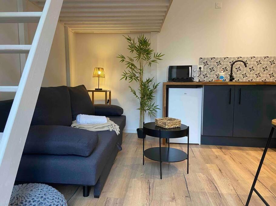 Charmant Studio Vierzon Eksteriør billede